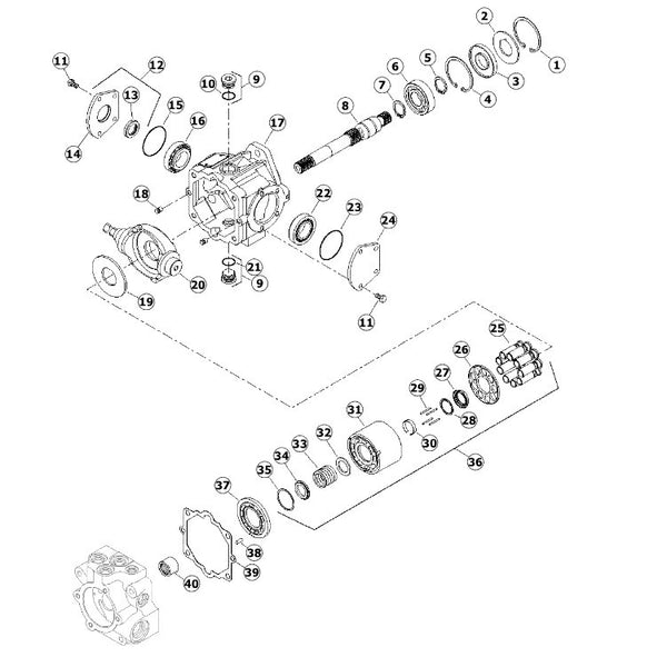 Astec and Case Maxi Sneaker C, D and E Ground Drive Pump 239918A1 Input Shaft and Internal Parts